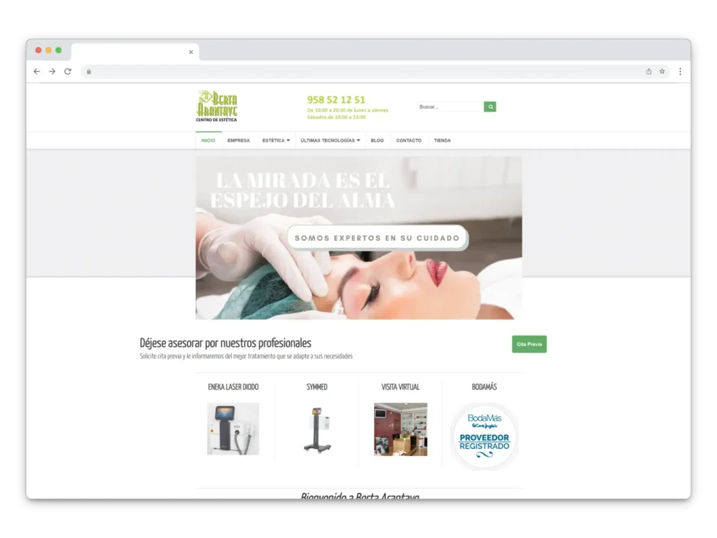 consultor SEO en Madrid
