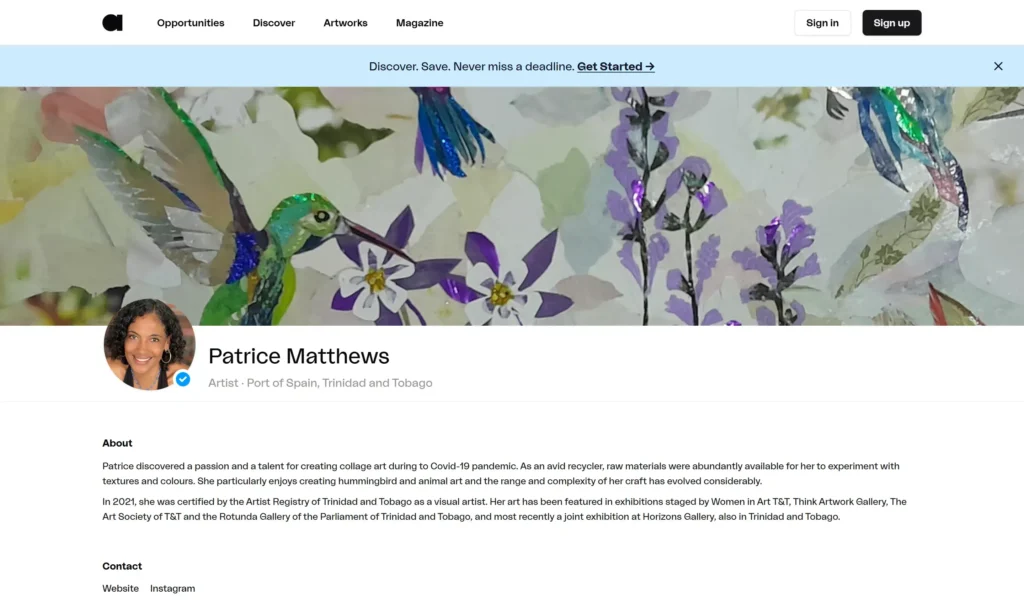 plataforma artistas 4 Perfil público de un artista en una plataforma para artistas con biografía y datos de contacto