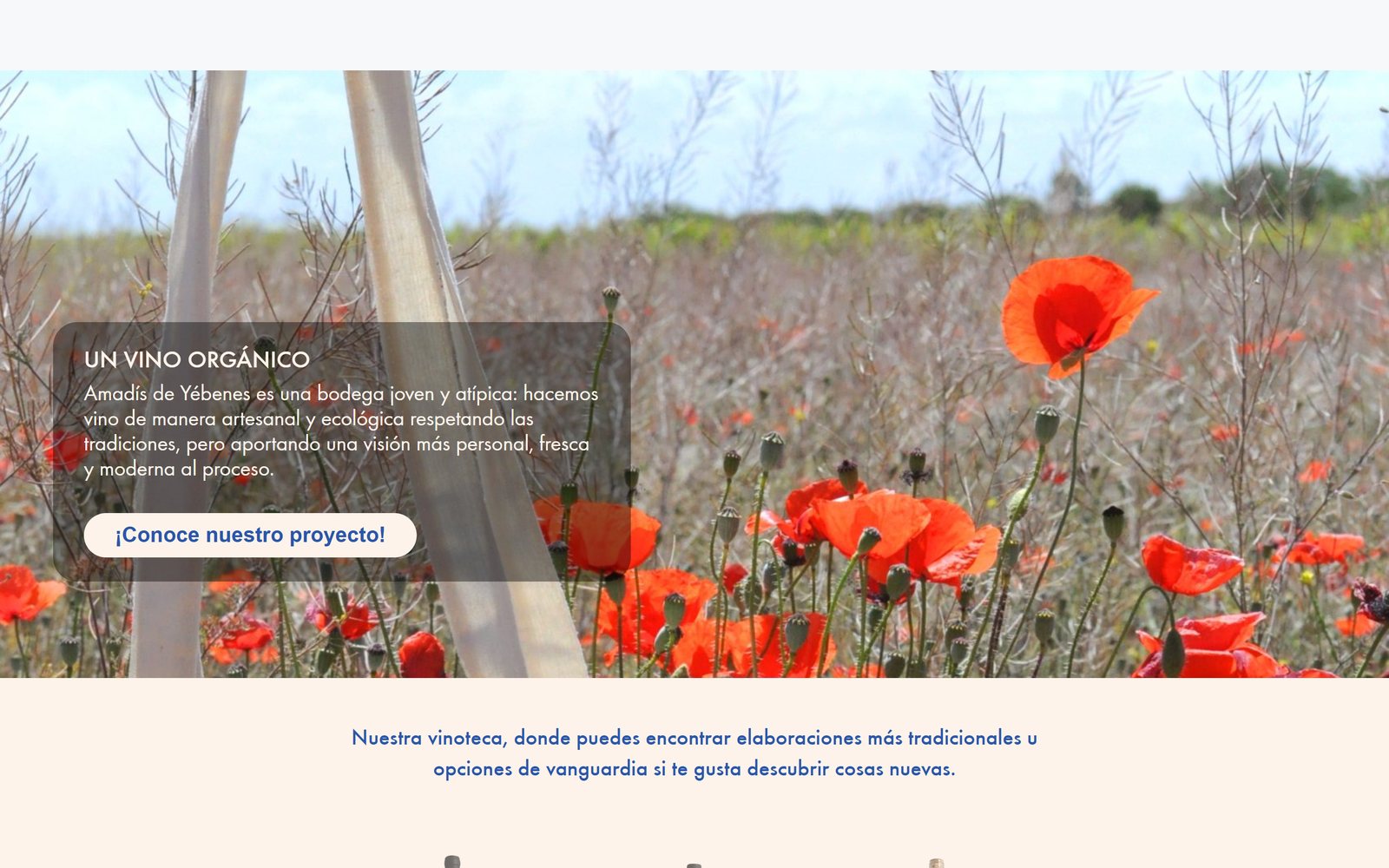 octonove web amadis d Tienda online de Amadís de Yébenes diseñada por Octonove