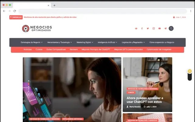 Captura de Negocios Optimizados (SEO), proyecto de Octonove